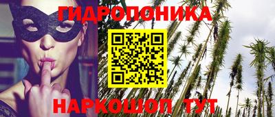 мдпв Аргун