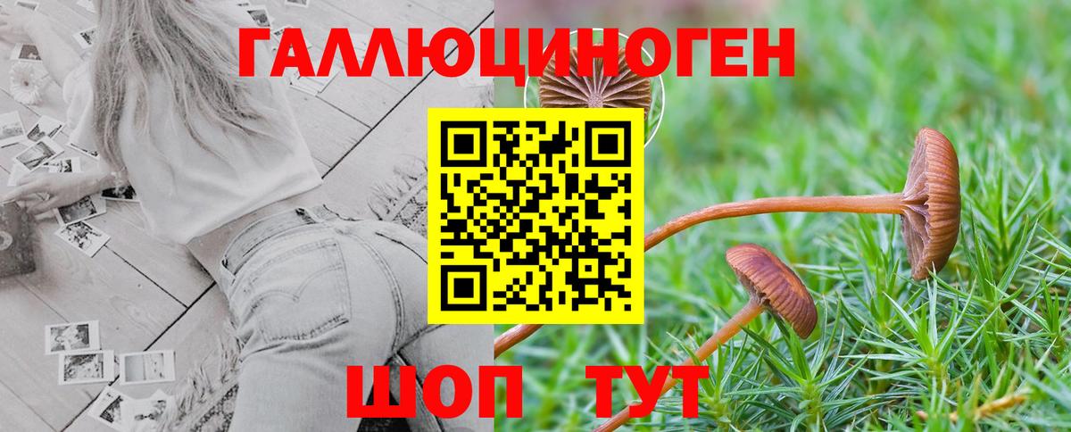 Галлюциногенные грибы GOLDEN TEACHER  Вход с VPN  Видное  Псилоцибиновые грибы Psilocybe 