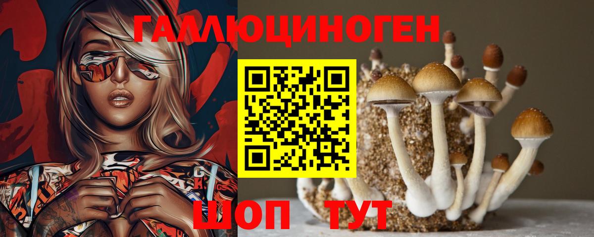 Псилоцибиновые грибы MAGIC MUSHROOMS Видное