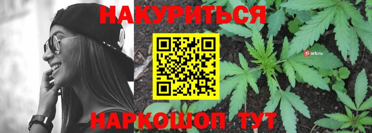Конопля сатива Видное